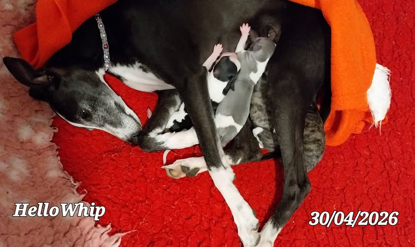 ils sont nés 30 Avril 2026