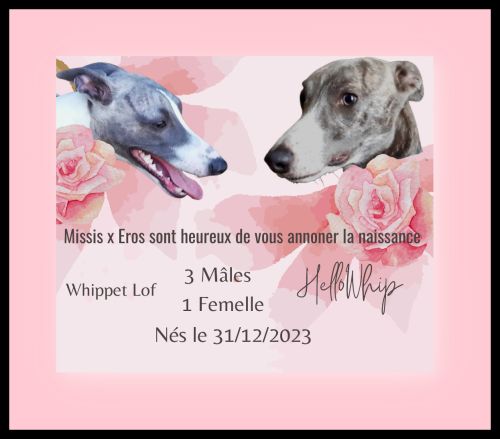 2024 portée miss Eros